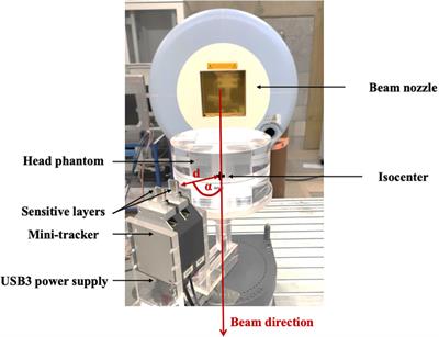 Investigation of Suitable Detection Angles for Carbon-Ion Radiotherapy Monitoring in Depth by Means of Secondary-Ion Tracking